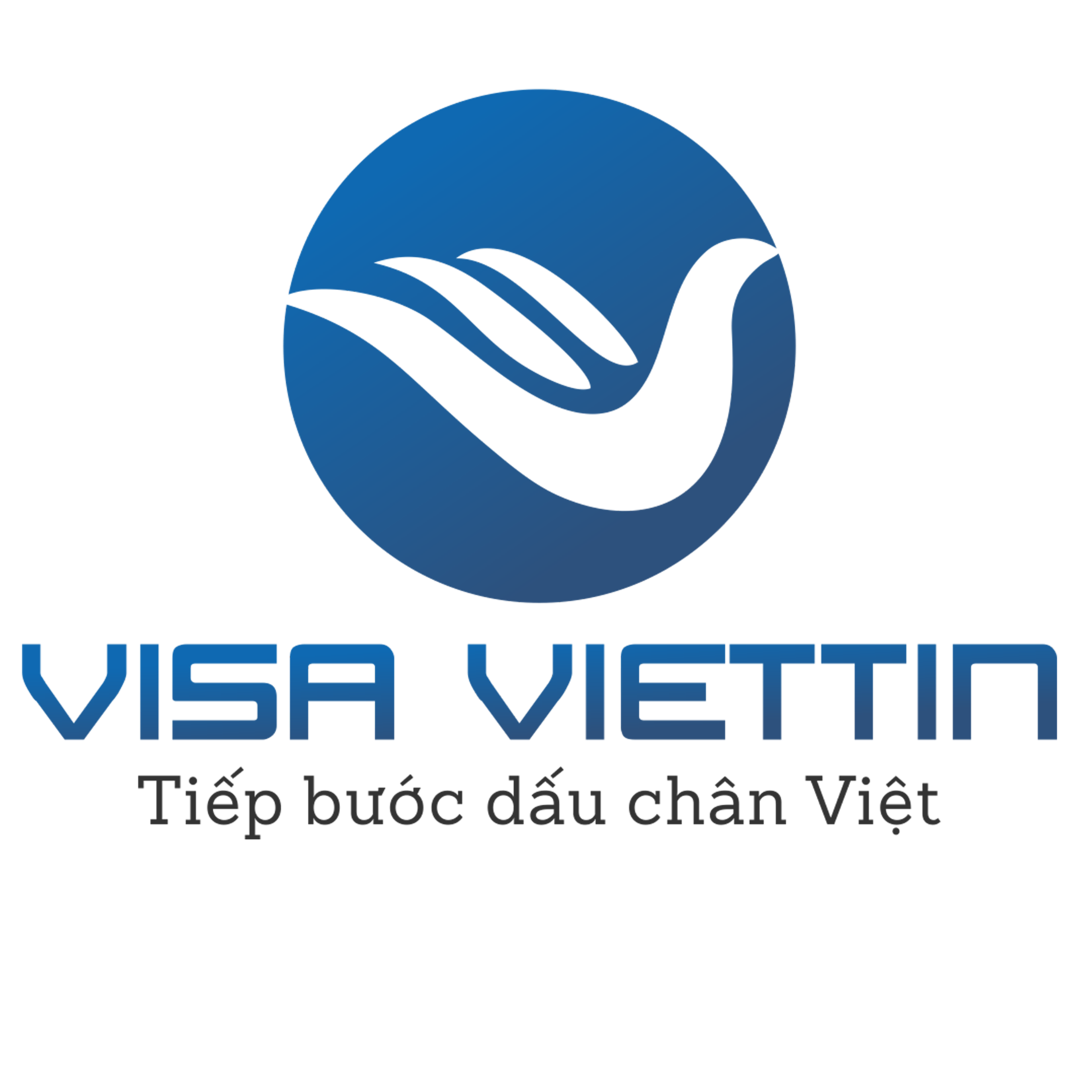 Công Ty TNHH Dịch Vụ Visa Việt Tin